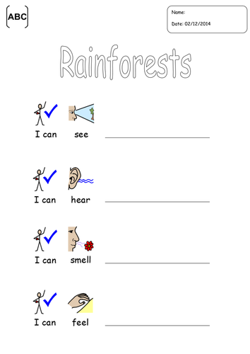 Rainforest poem template | Teaching Resources