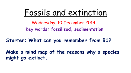 fossils-and-extinction-teaching-resources