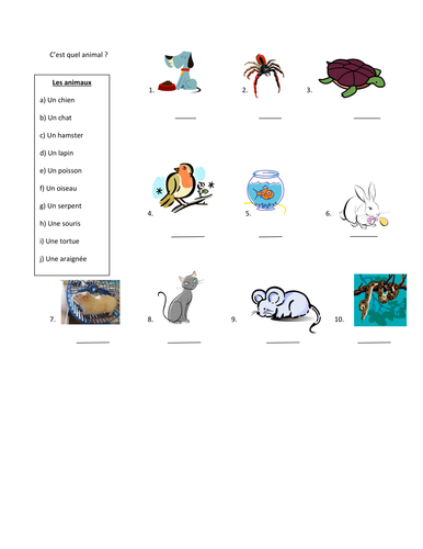 Les animaux | Teaching Resources