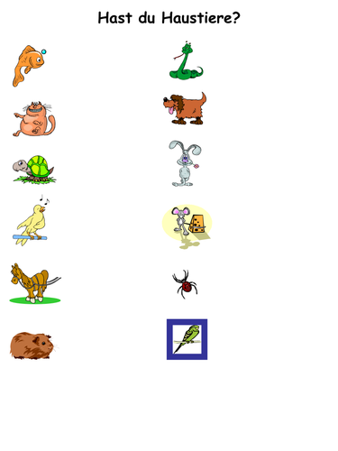 Haustiere (Describing Animals with German) | Teaching Resources