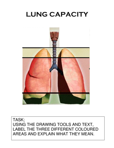 Respiratory System | Teaching Resources