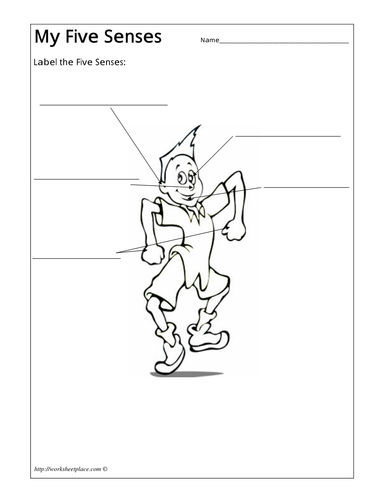 Senses Workbook | Teaching Resources