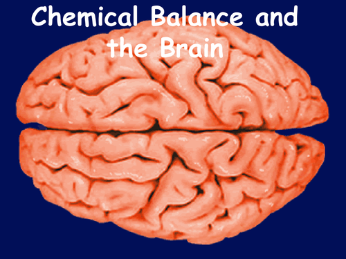 ppt, 782.5 KB