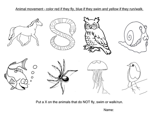 Animal handouts | Teaching Resources