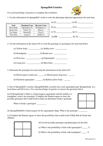 Spongebob Genetics Teaching Resources 0703