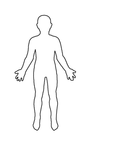 Human Outline Sheet | Teaching Resources