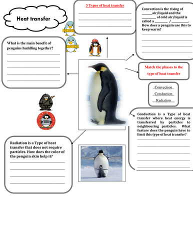 Types Of Heat Transfer Worksheet - Escolagersonalvesgui