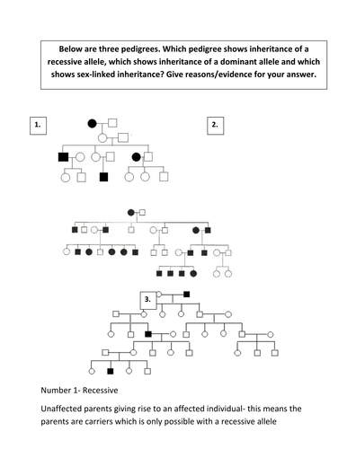 33 Constructing A Pedigree Worksheet Answers - Notutahituq Worksheet