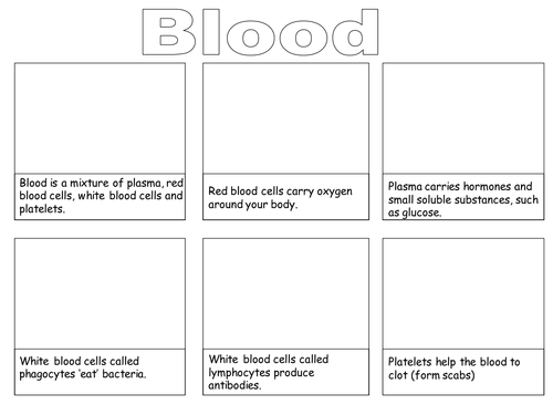 Blood cell types | Teaching Resources