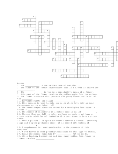 Plants Crossword Teaching Resources