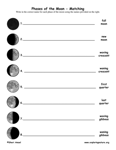 Phases of the Moon for First Grade | Teaching Resources