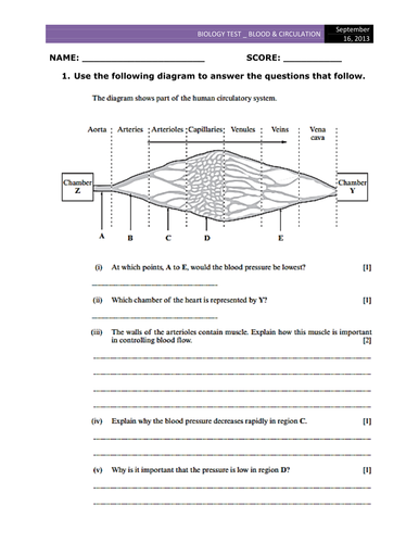 Blood & Circulation Test | Teaching Resources