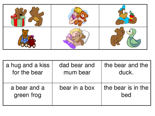 essay 5 sentences about bear