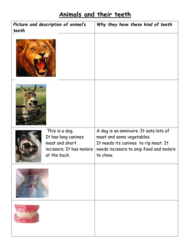 Animals and teeth - what do you think? | Teaching Resources