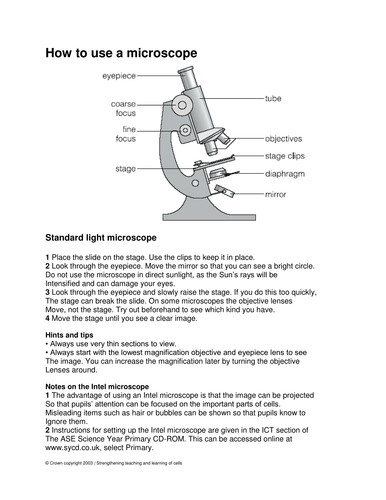 microscopes cell organization | Teaching Resources