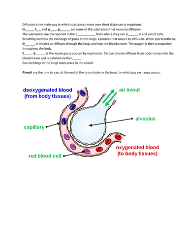 Diffusion | Teaching Resources