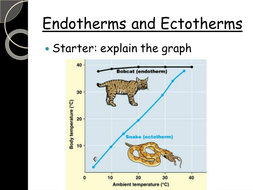 Endotherms and ectotherms | Teaching Resources