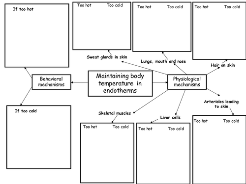 ppt, 22 KB