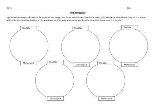 Cell Division - 6th Grade 