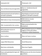 Prokaryote & Eukaryote card sort | Teaching Resources