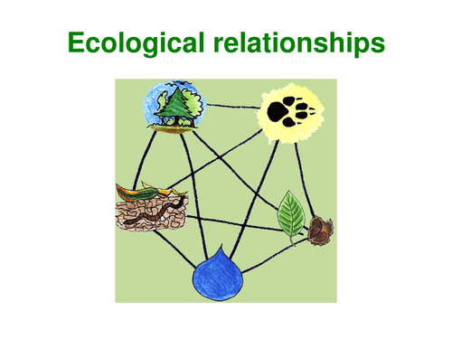 Ecological Relationships | Teaching Resources