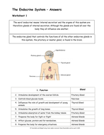 Glands and Hormones in the endocrine system | Teaching Resources