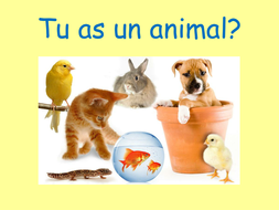 French Animals/Pets Intro: Les Animaux | Teaching Resources