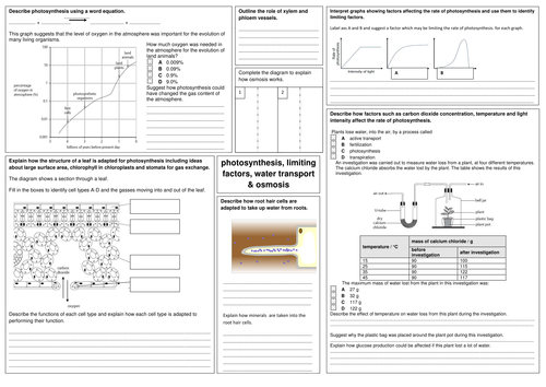 docx, 270.24 KB