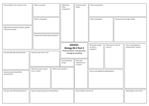 B2 Edexcel Additional Topic 2 Intervention Pack | Teaching Resources
