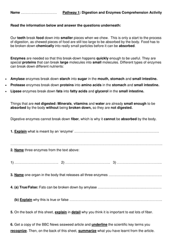 Year 8 Introduction to Digestion (Full Lesson) | Teaching Resources