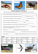 Migration: Why do animals do it? | Teaching Resources