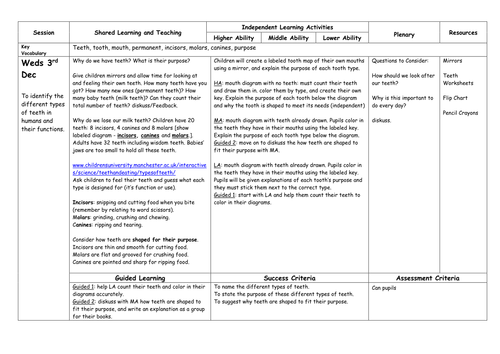 Year 4 Science: Digestion and Teeth | Teaching Resources