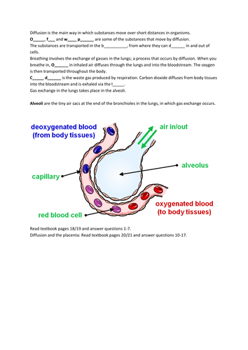 NEW KS3 Year 7 Scheme of Work Particle Model | Teaching Resources