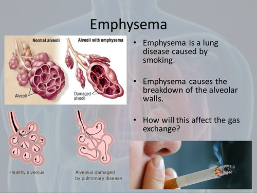 pptx, 1.54 MB