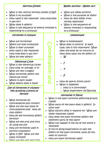 docx, 176.98 KB