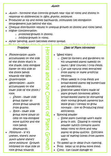 docx, 190.18 KB