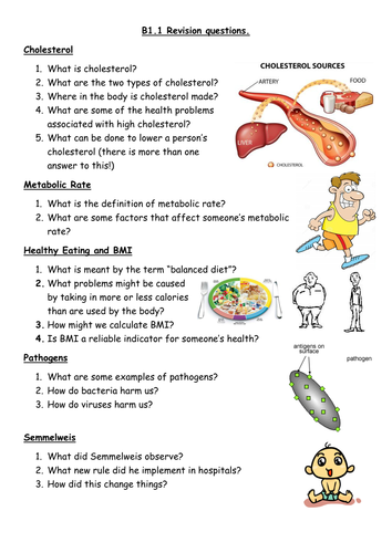 AQA Keeping Healthy Revision Qs | Teaching Resources