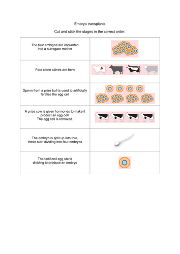 Animal cloning | Teaching Resources