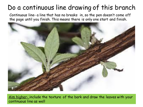 Continuous line drawing | Teaching Resources