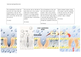 experiment for active transport