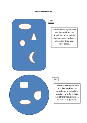 Magnification calculations | Teaching Resources