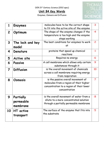 OCR 21st CS: B456 Revision lessons and worksheets | Teaching Resources