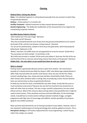 docx, 25.96 KB