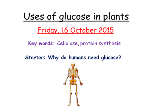 uses-of-glucose-in-plants-teaching-resources