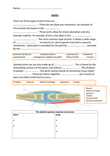 Joints worksheet | Teaching Resources
