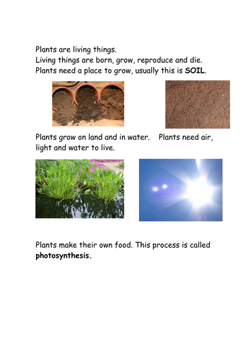 Plants | Teaching Resources