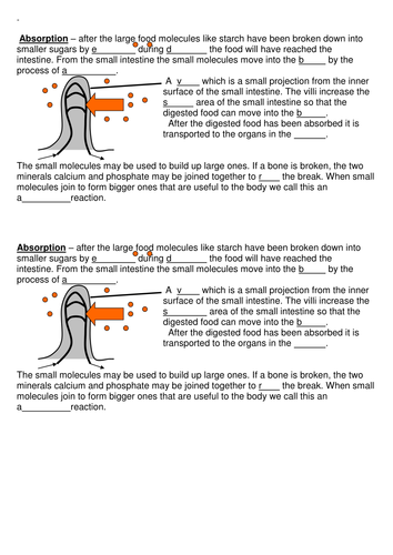 Absorption | Teaching Resources