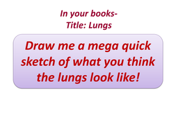 Lungs Lesson with worksheet | Teaching Resources
