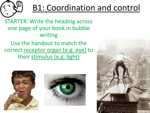 AQA Biology Coordination and control B1 | Teaching Resources