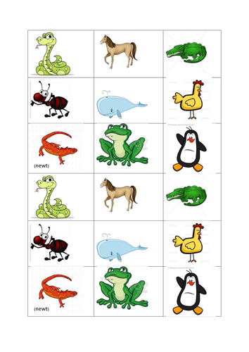 Odd one out starter | Teaching Resources